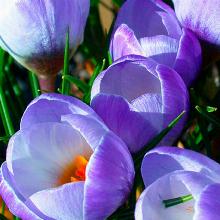 Нажмите чтобы увеличить изображение