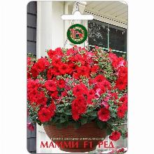 ПЕТУНИЯ КАСКАДНАЯ МНОГОЦВЕТКОВАЯ МАММИ F1 РЕД 5 ШТ биотехника