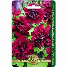 ПЕТУНИЯ МНОГОЦВЕТКОВАЯ МАХРОВАЯ ДУО БУРГУНДИ F1 10 ШТ биотехника